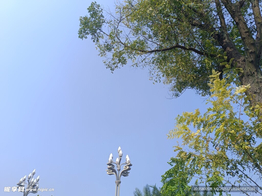 蓝天绿树间的别致路灯