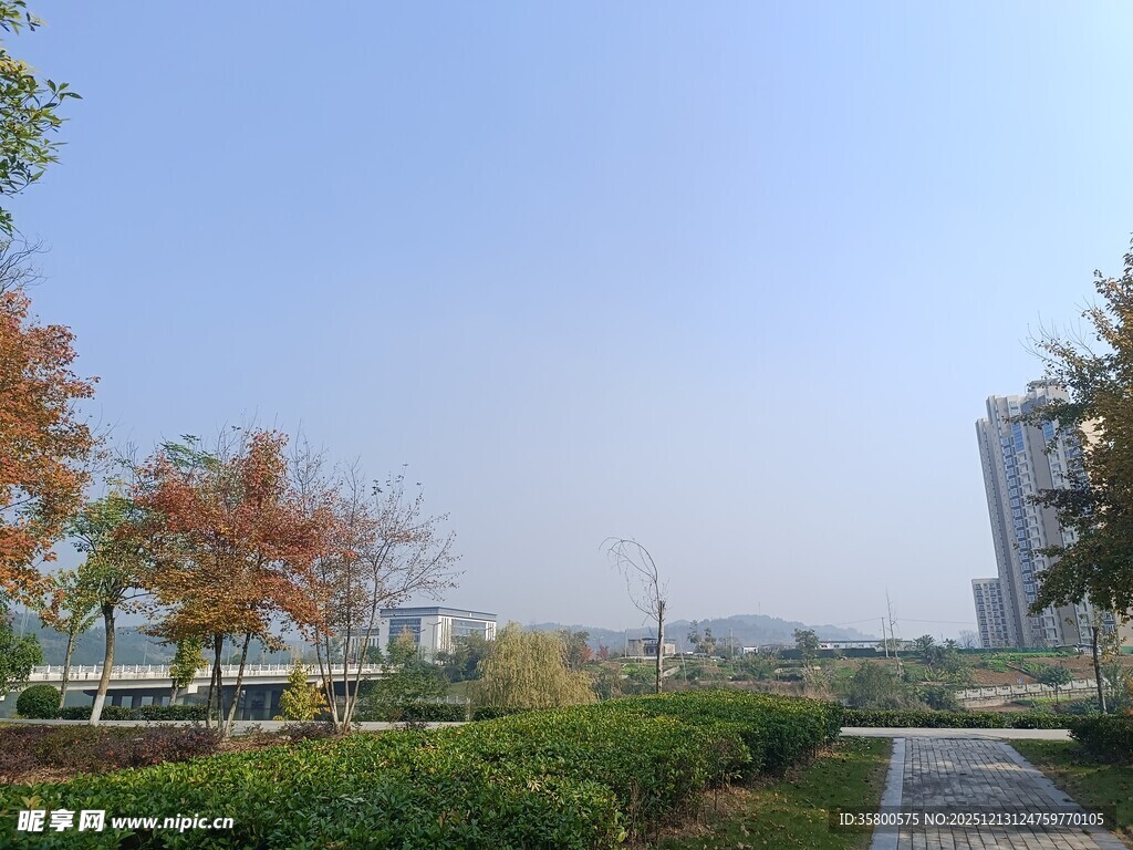 秋日城市公园风景