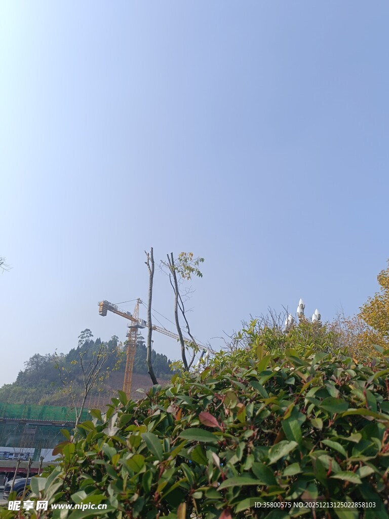 户外绿植与远处设施景观