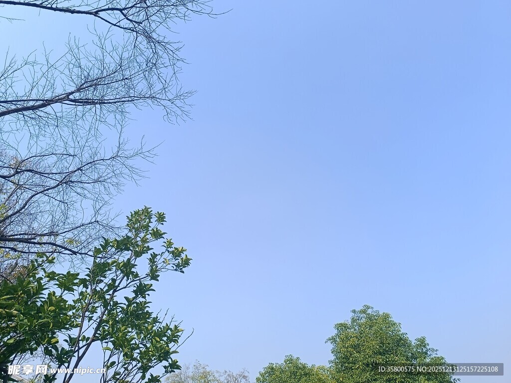 蓝天绿树间的自然景致