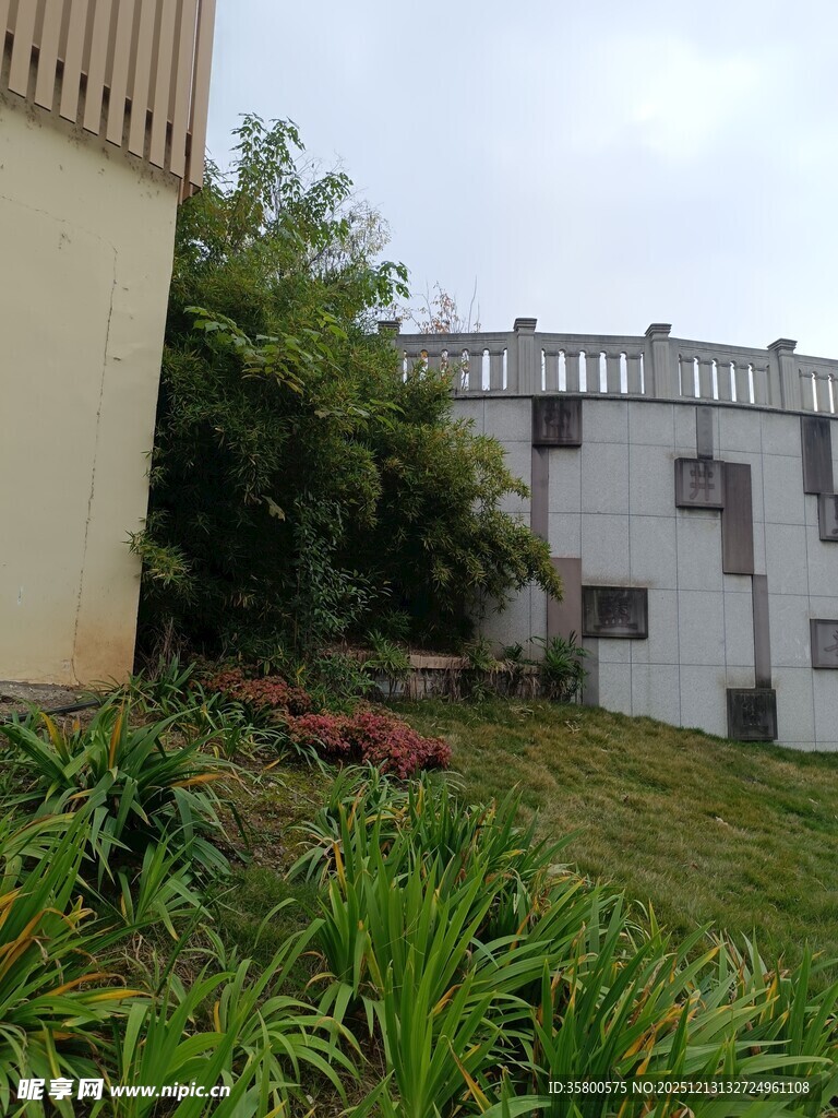 庭院绿植与建筑景致