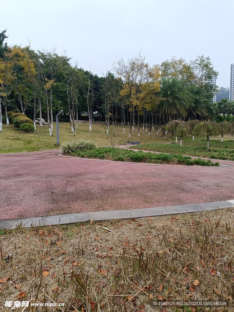 户外开阔草地与树林景观