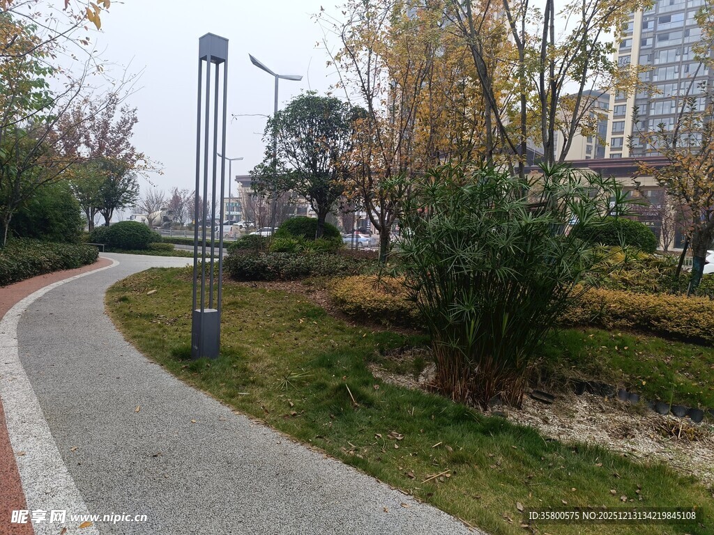 城市公园中的蜿蜒小径