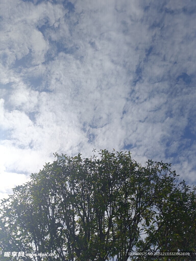 蓝天绿树间的美好景致