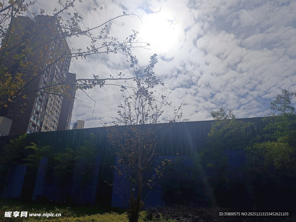 阳光照耀下的城市建筑景观