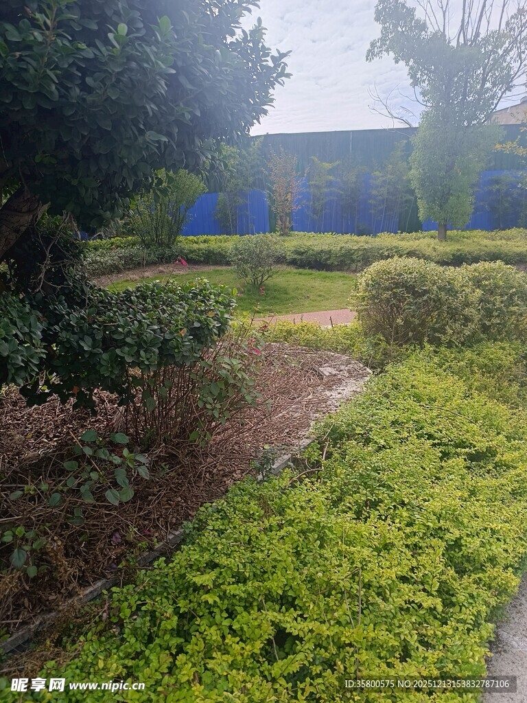 绿意盎然的园林景观