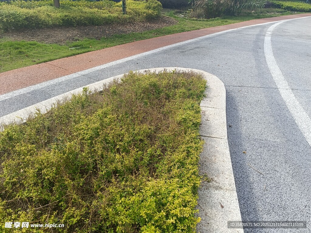 道路旁的绿植景观