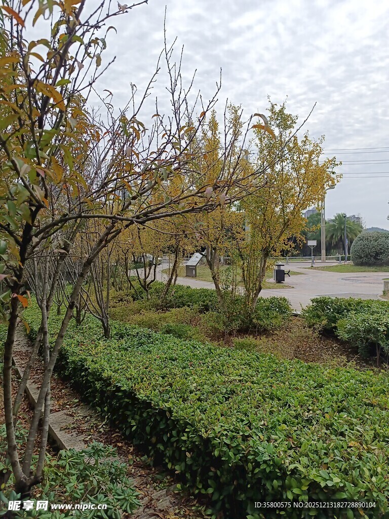 秋日园林绿植景观
