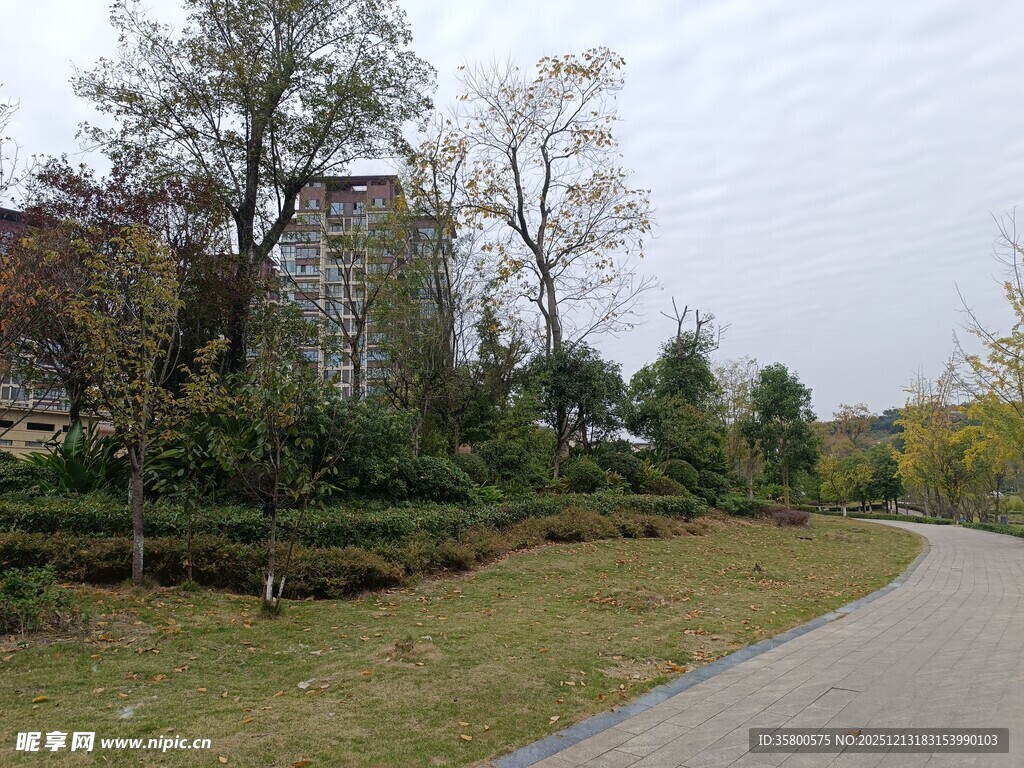 城郊小路旁的绿植景观