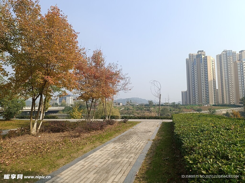 秋日城市园林景观小路