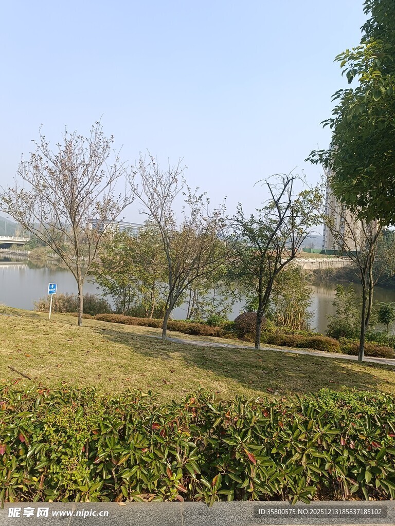 湖畔绿意盎然的园林景致