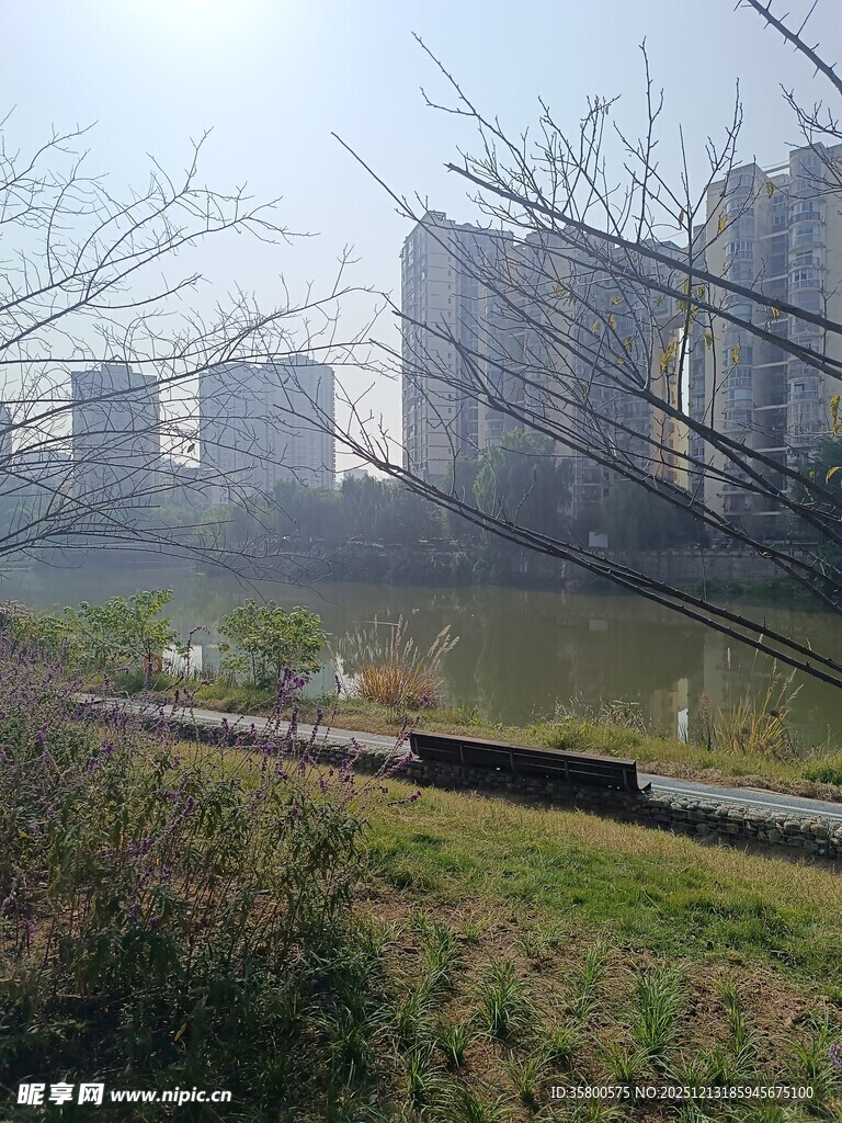 城市河畔风景