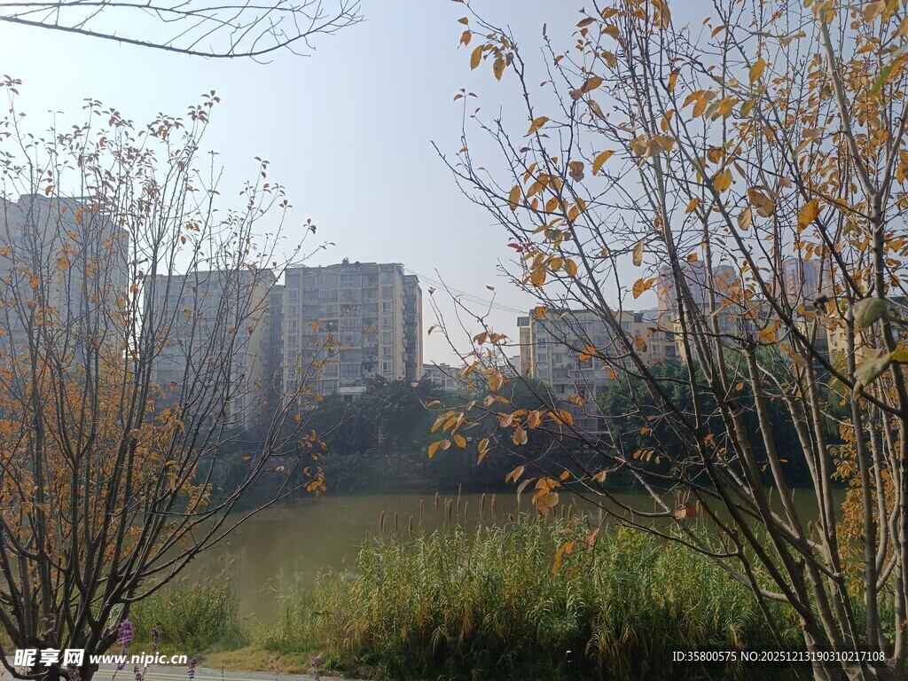 秋日城郊自然风景