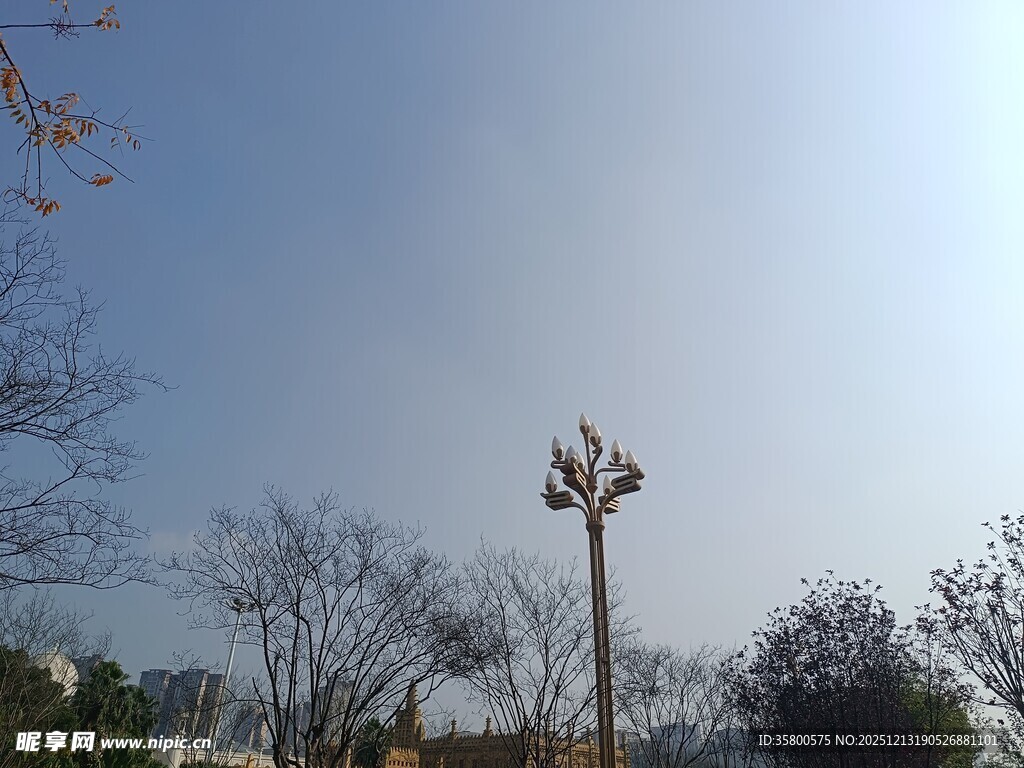 户外路灯与树木蓝天景象
