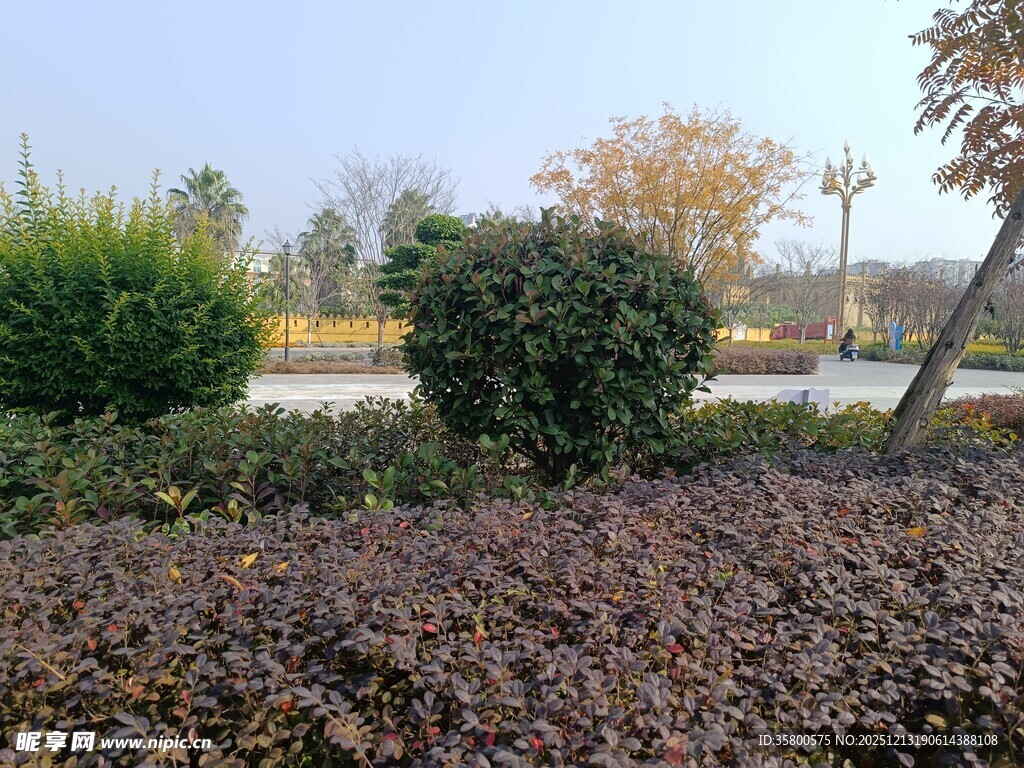 秋日园林景观一角