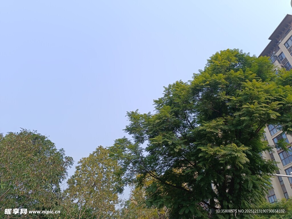 绿树环绕的现代建筑