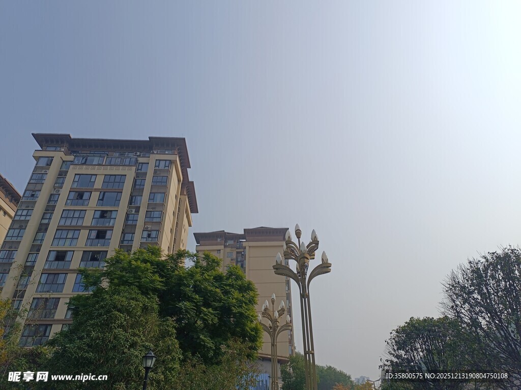 高层住宅旁的绿植景观