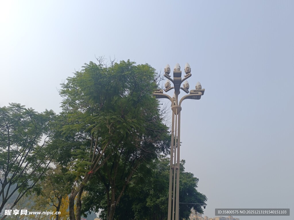 户外路灯与绿树景观