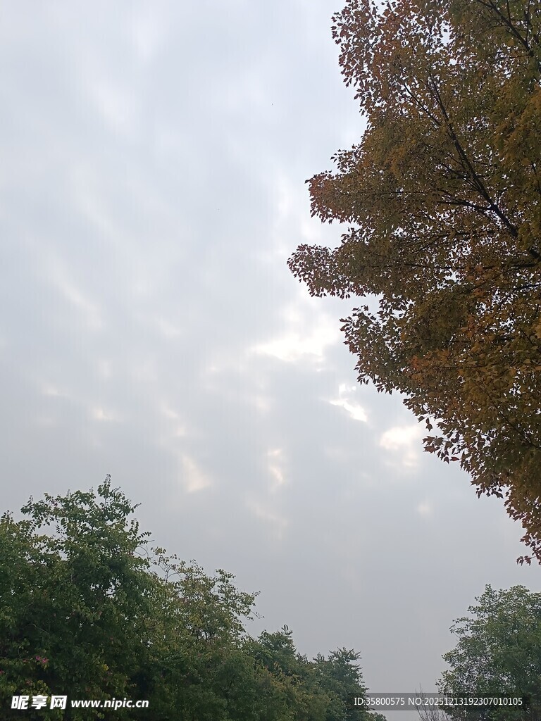 林间天空 