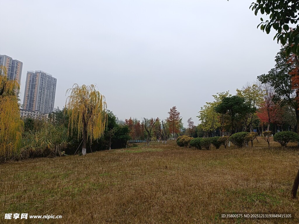 秋日城郊开阔草地景观