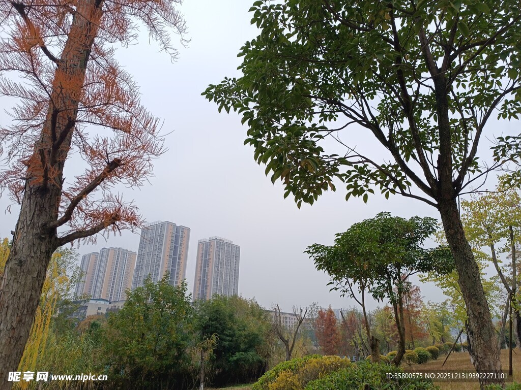 城市公园秋日景致