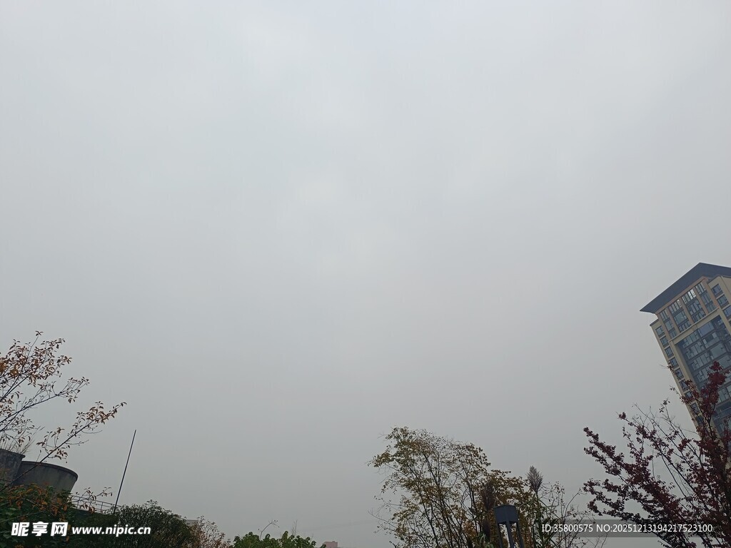 阴天城市建筑与树木景象