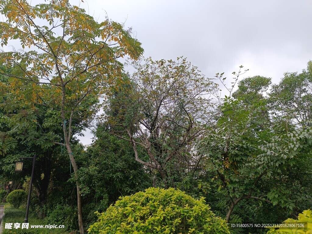 绿意盎然的园林景观