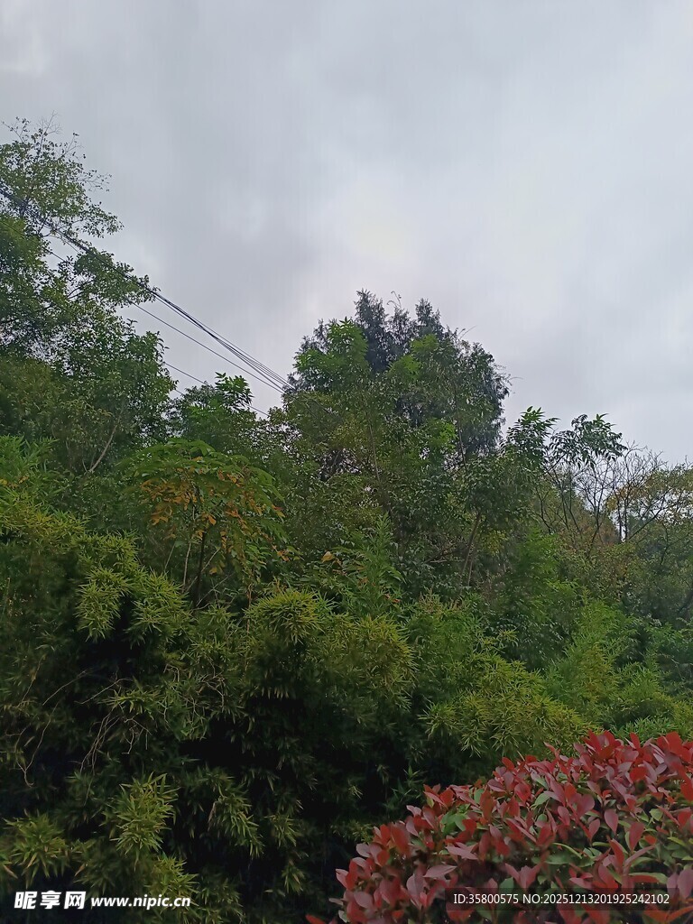 山林绿植与艳丽花卉景观