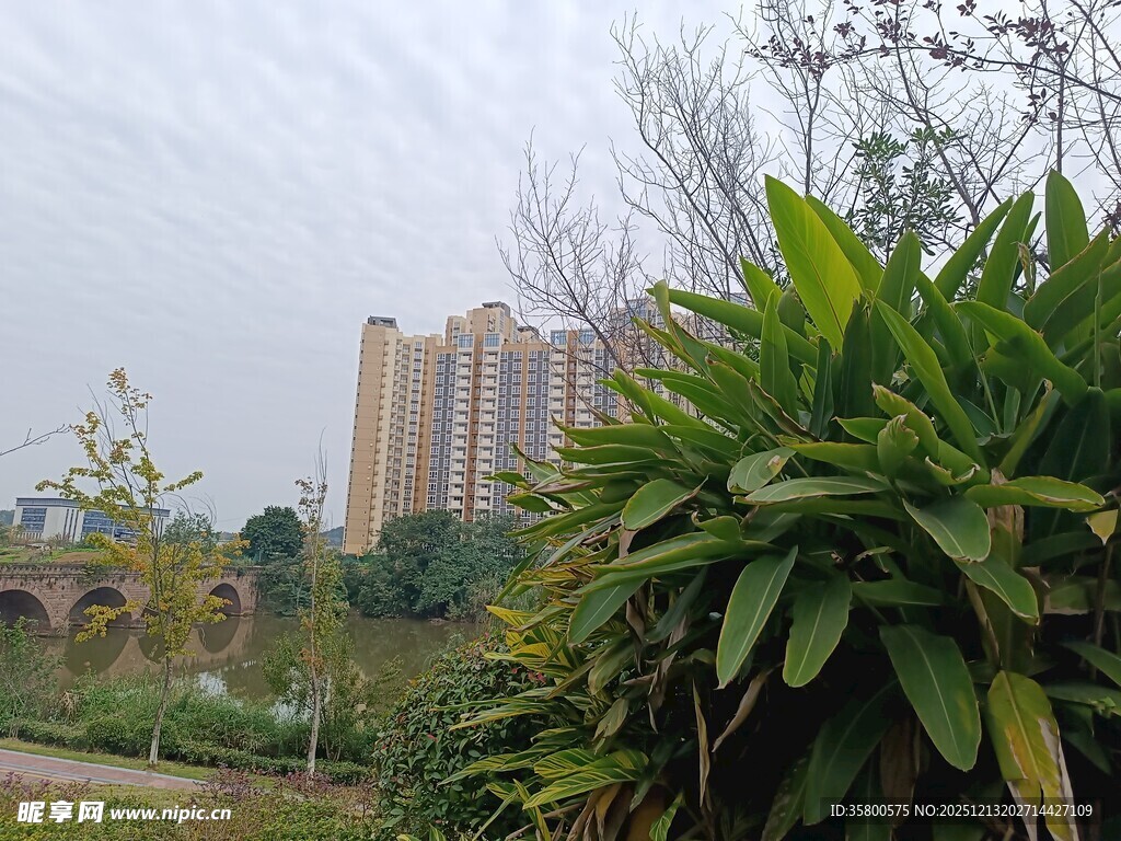 绿植环绕中的高楼景观