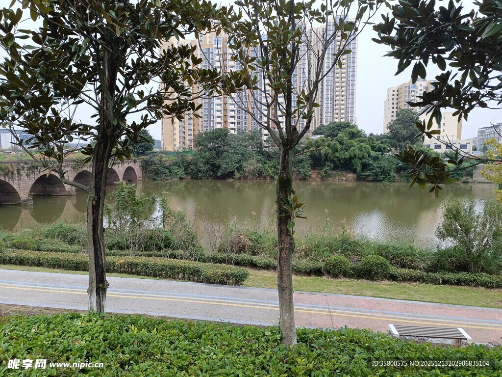 河畔绿植与远处建筑景观