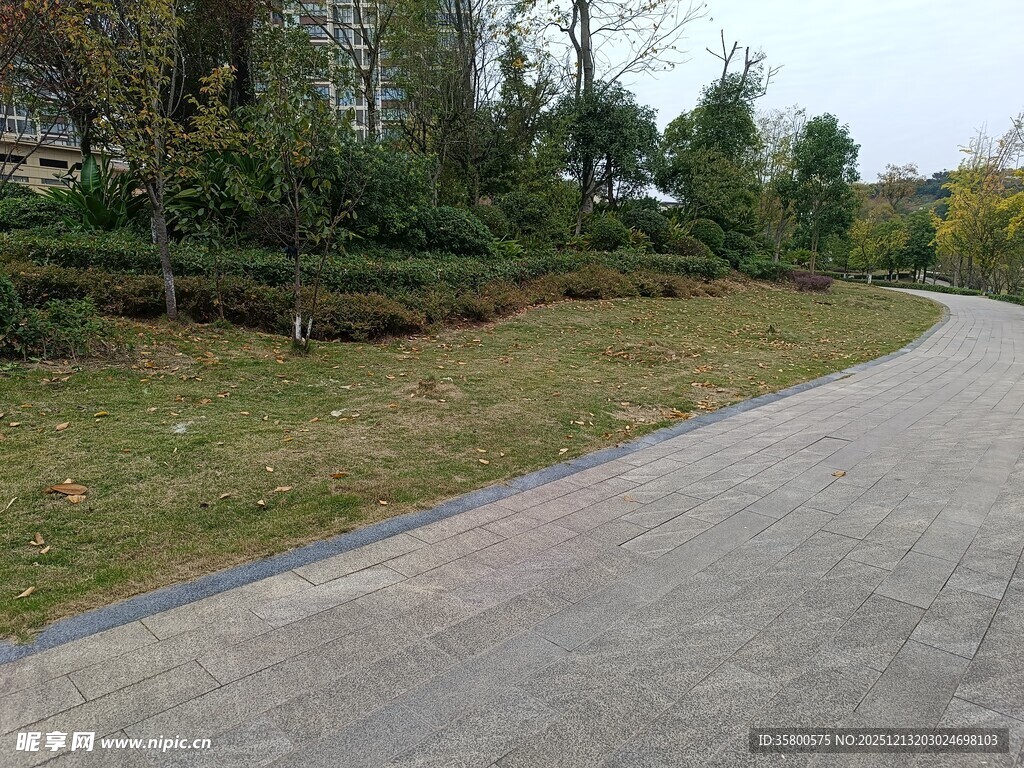 蜿蜒小路旁的绿植景观