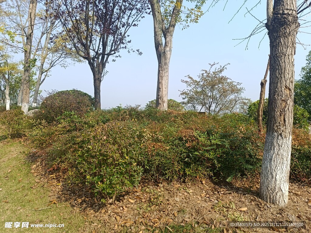 郊外绿意盎然的自然景致