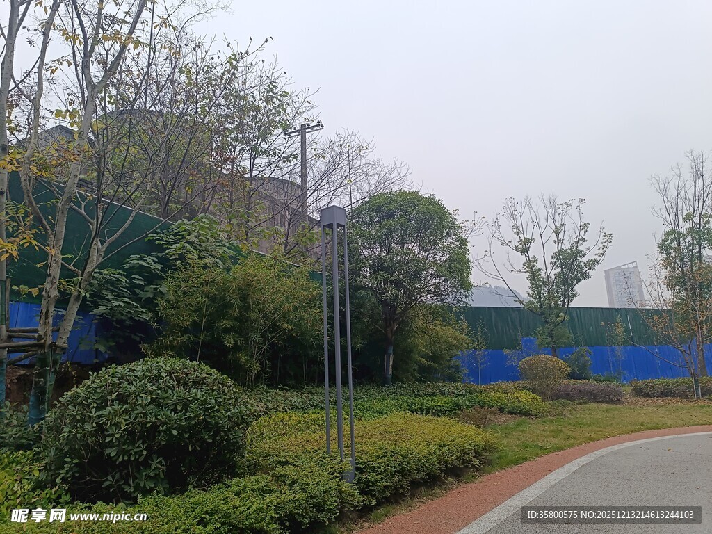 户外绿植环绕的道路景观