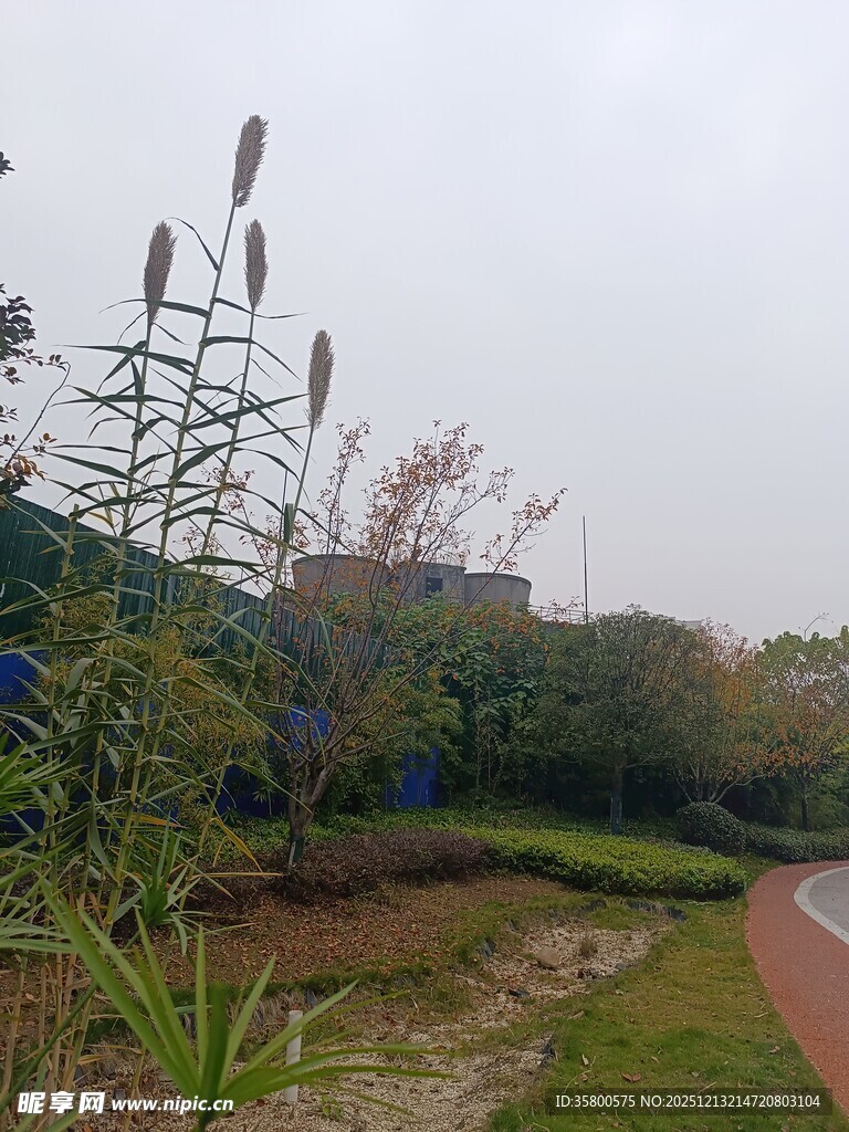 户外绿植环绕的休闲小径