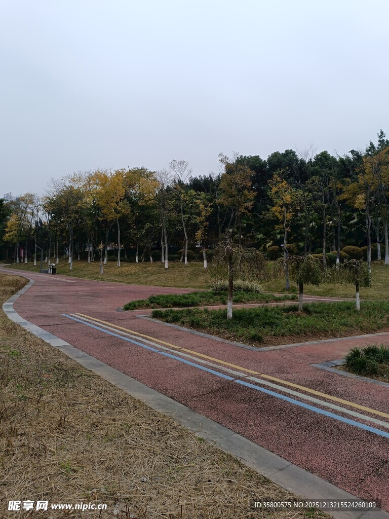 秋日公园蜿蜒小径景色