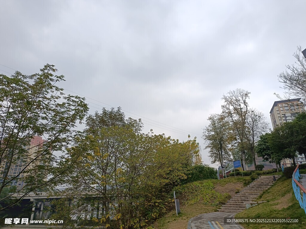 阴天里的林间小路