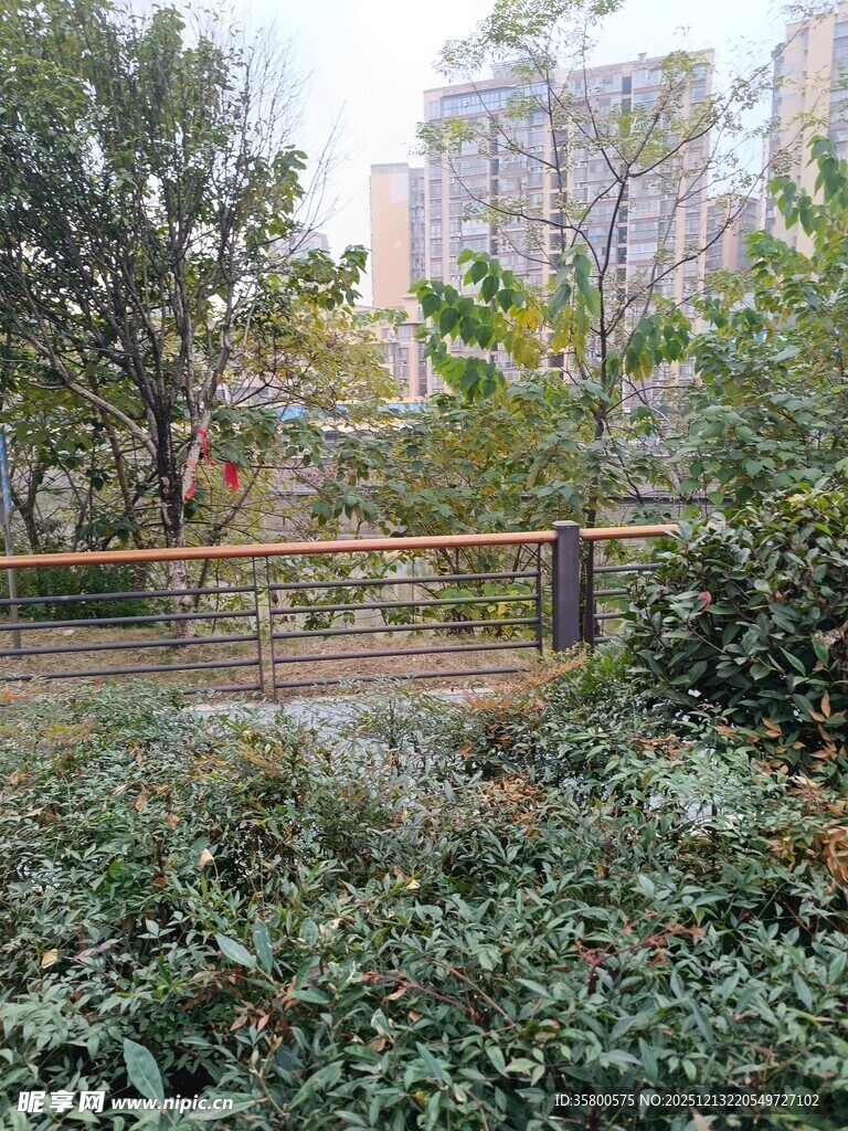 城市中的绿植景观