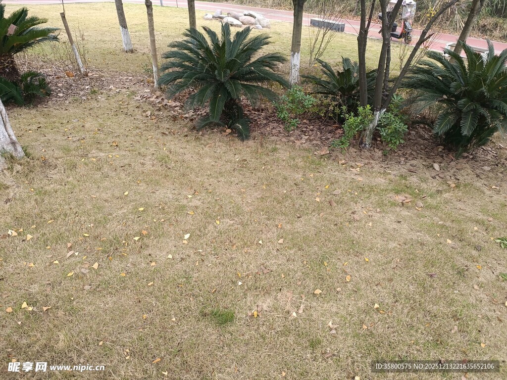 户外草地与绿植景观