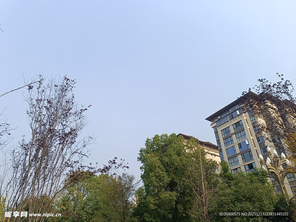 绿树环绕的多层建筑