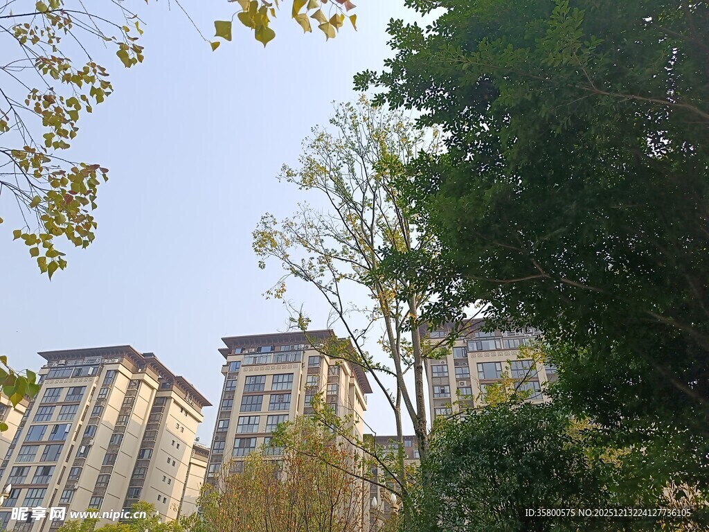 城市中林立的高层住宅楼