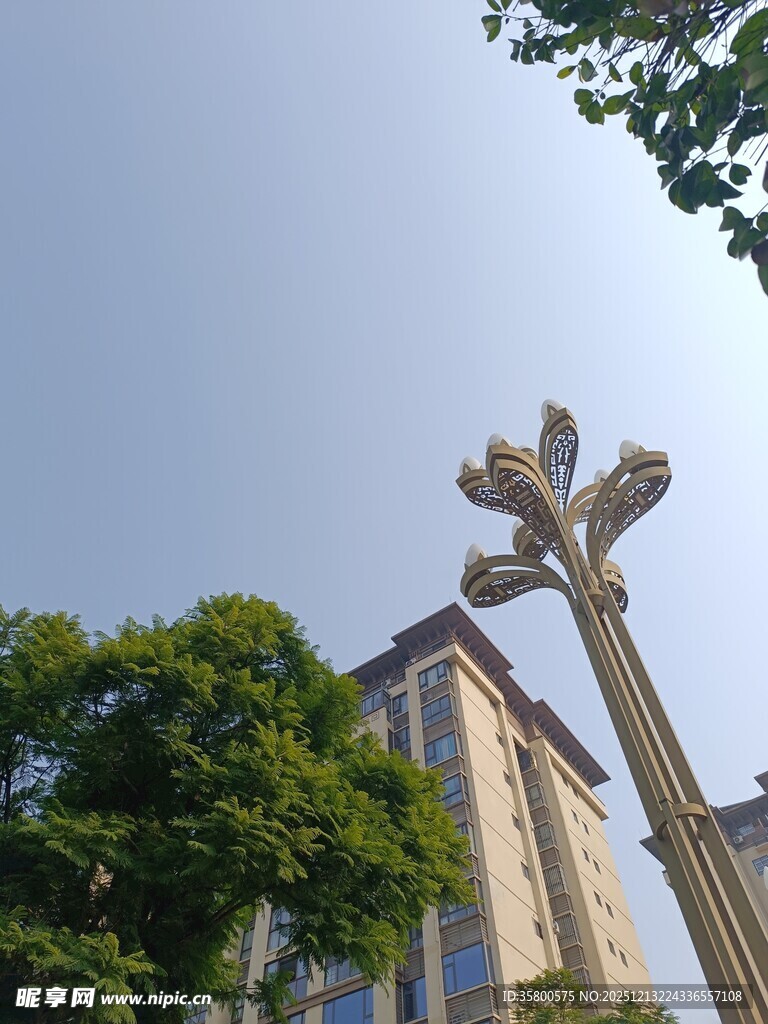 城市路灯与绿树高楼景观