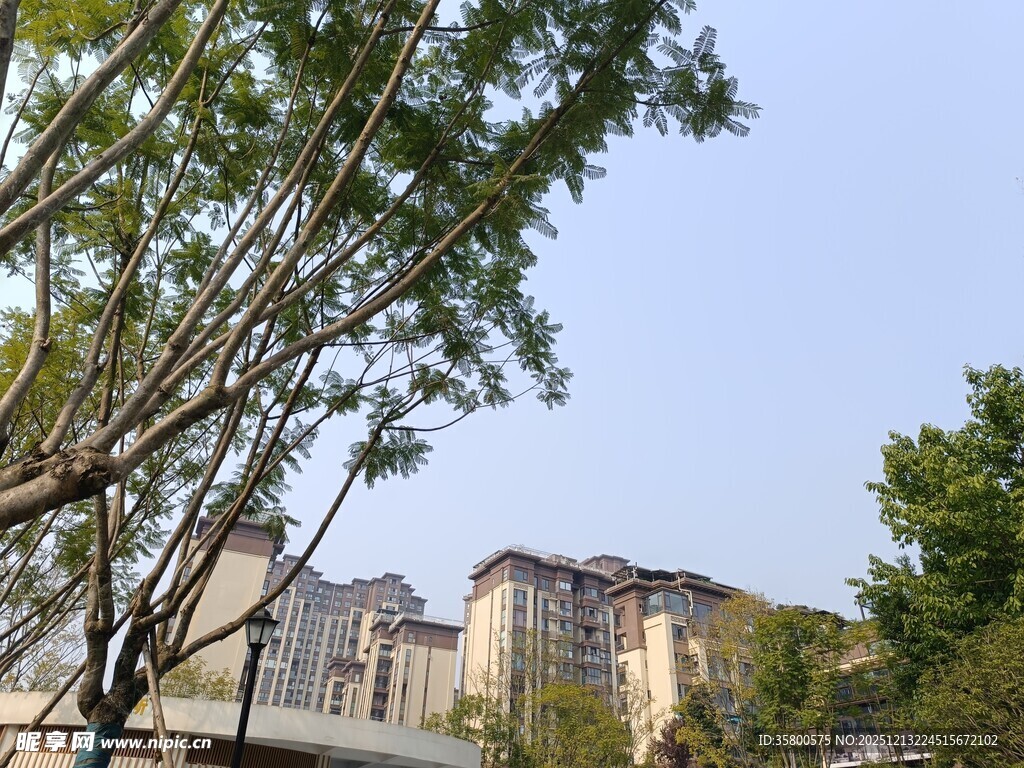 小区周边绿树环绕景致