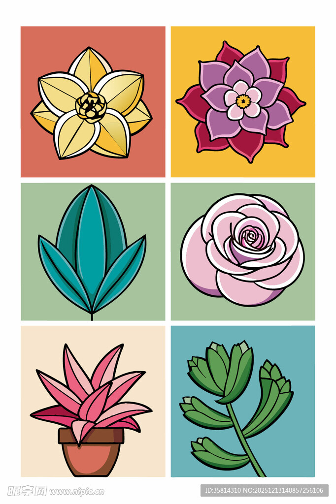 多彩手绘多肉植物图案