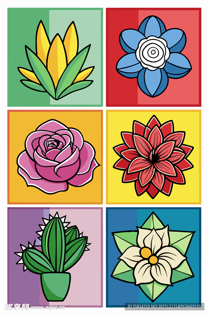 多彩花卉与仙人掌图案