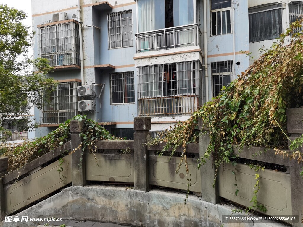 老旧居民楼旁的绿植景观