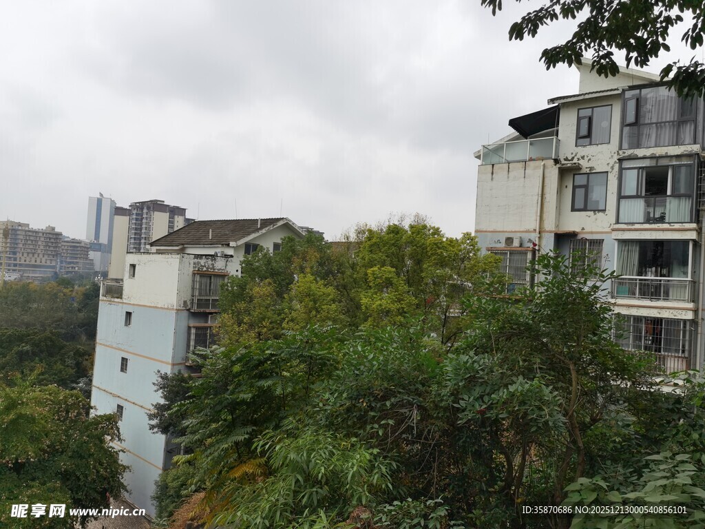 城市中被绿植环绕的建筑