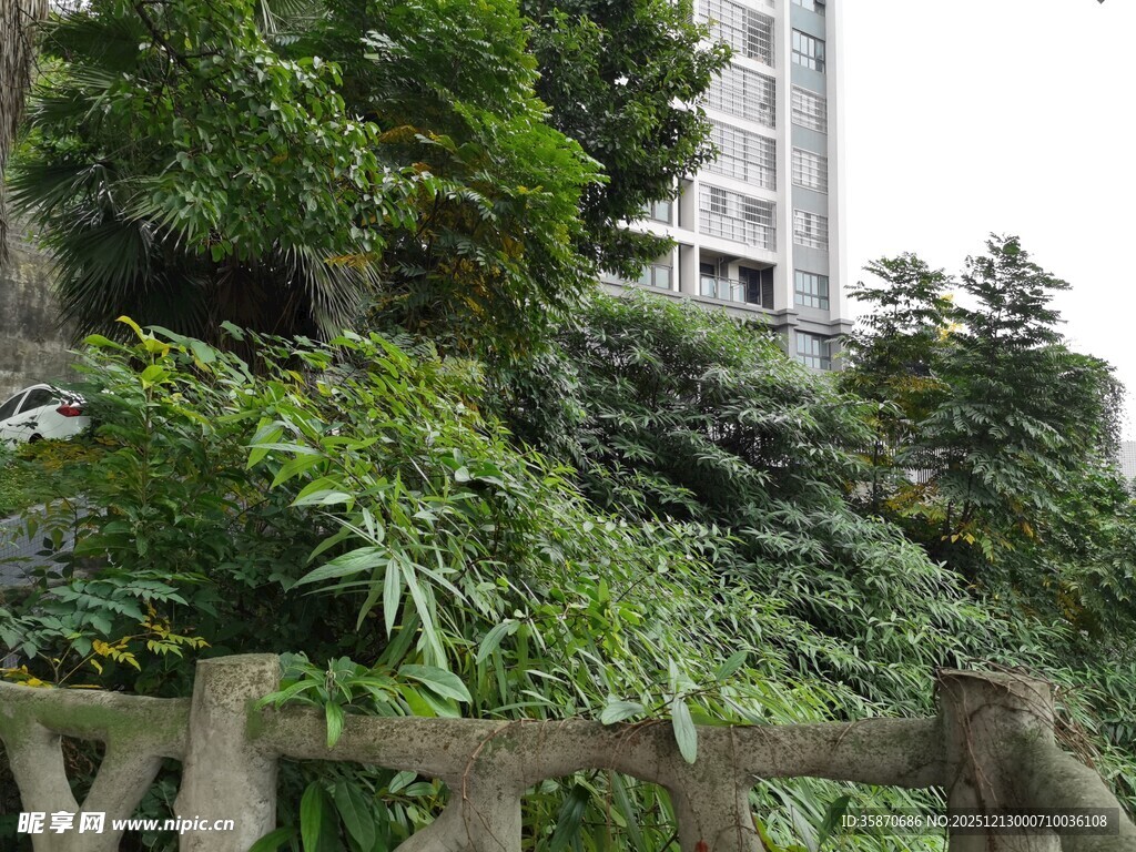 山林间的木质围栏与高楼