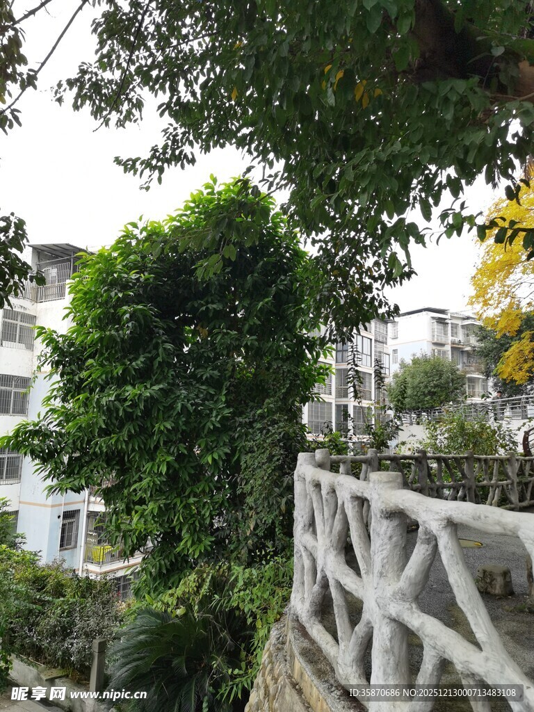 庭院绿植环绕的白色围栏