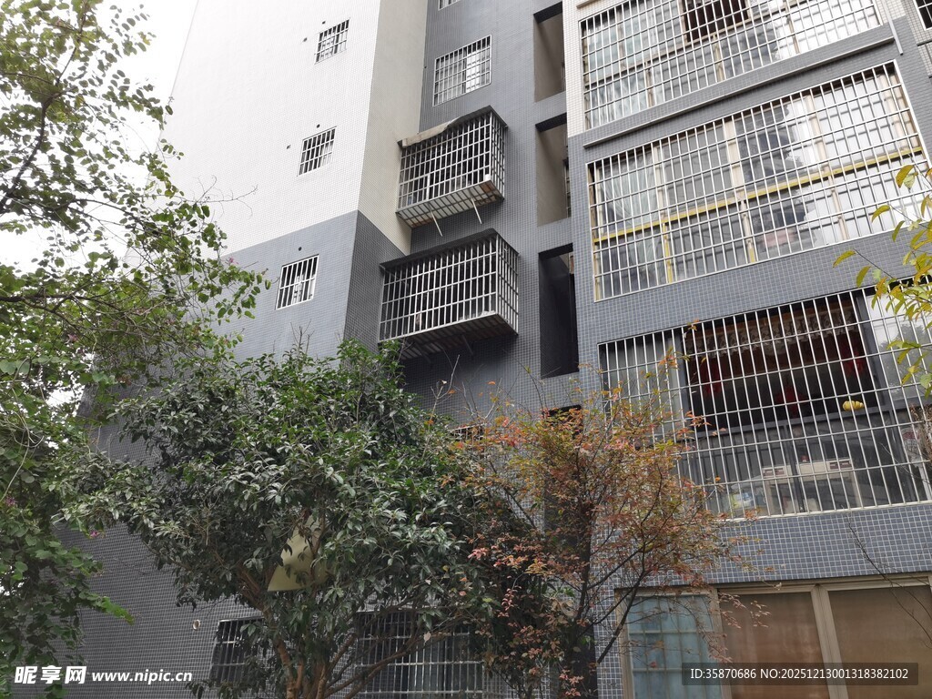 城市中带绿植的居民楼