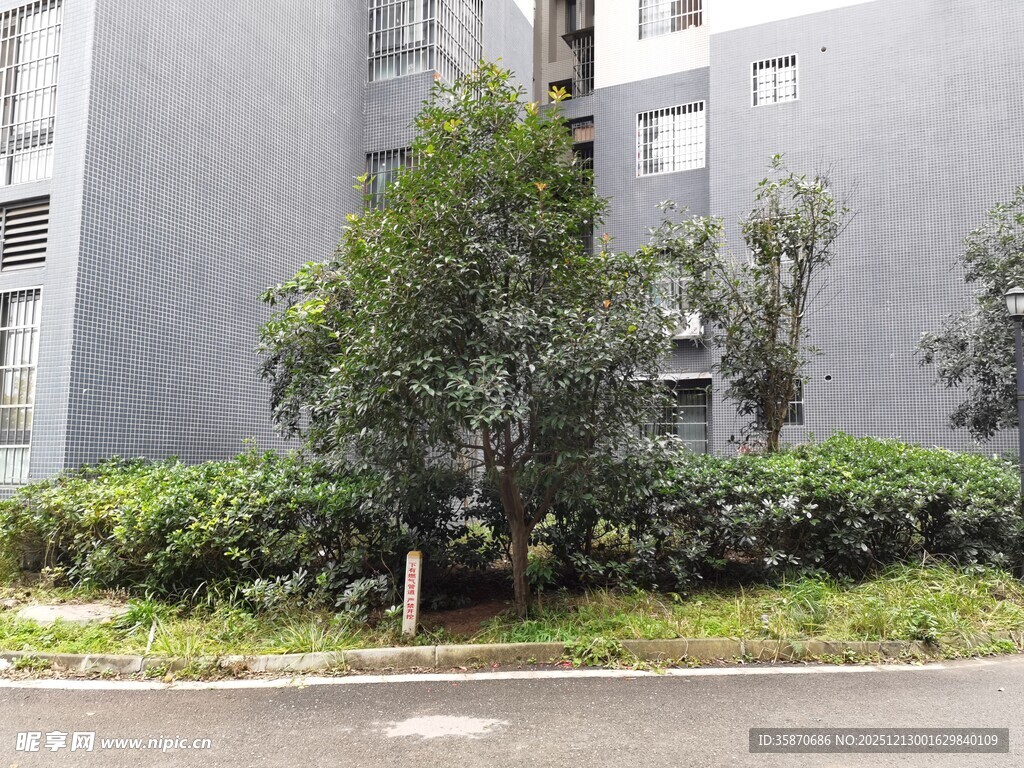 灰色建筑旁的绿植景观